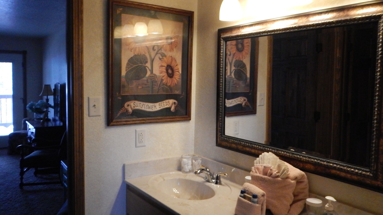 Photo of Bathroom in Mount Ida