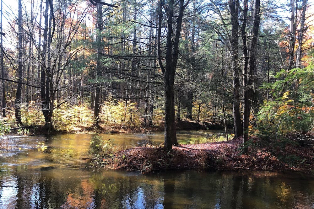 Photo of Outdoor in White Lake