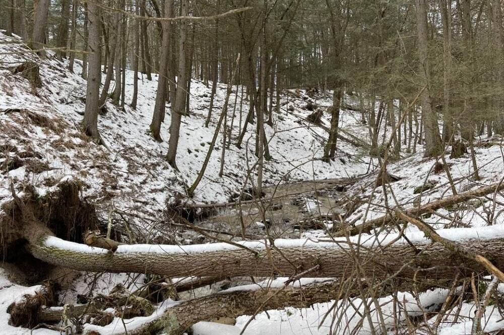Photo of Others in Town of Highland