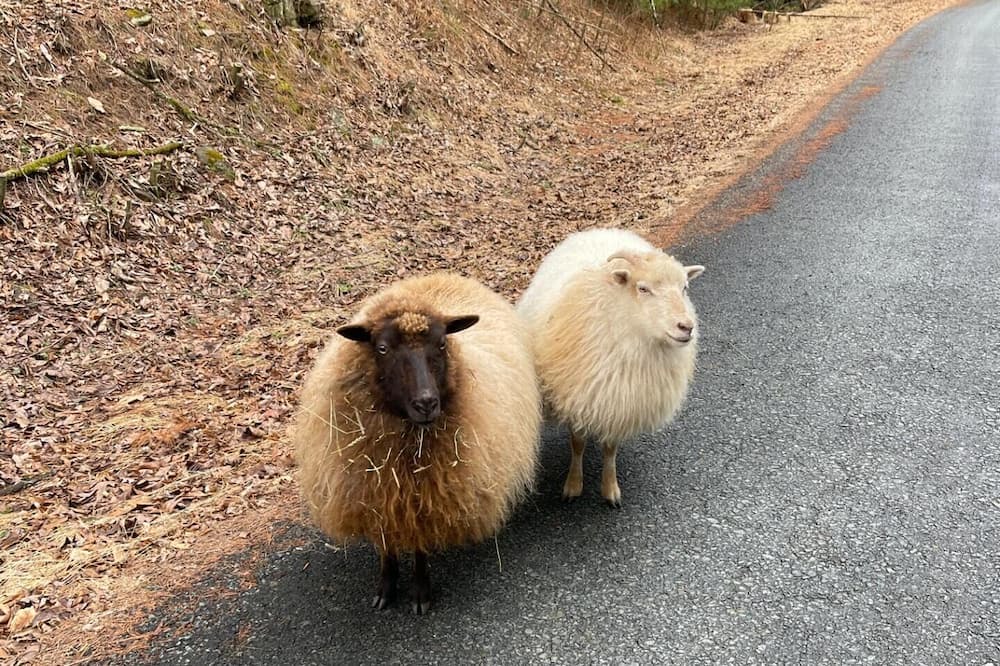 Photo of Others in Town of Highland