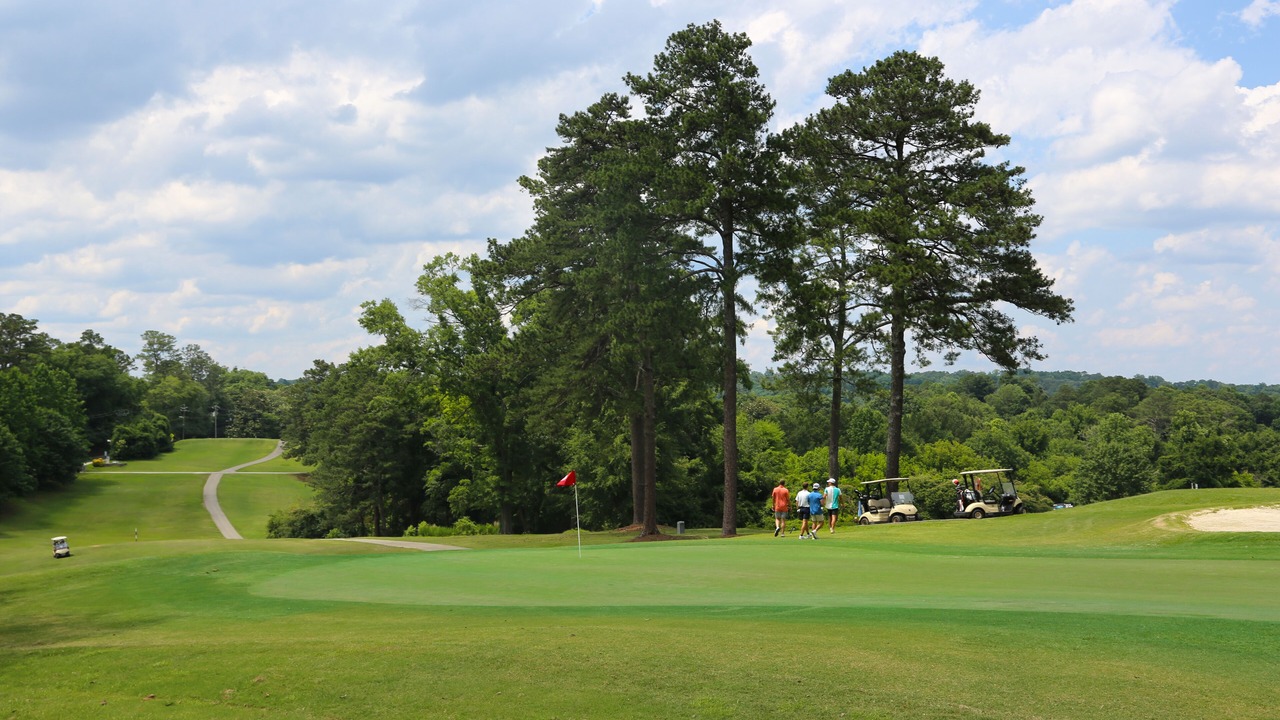 Photo of Others in Peachtree Park