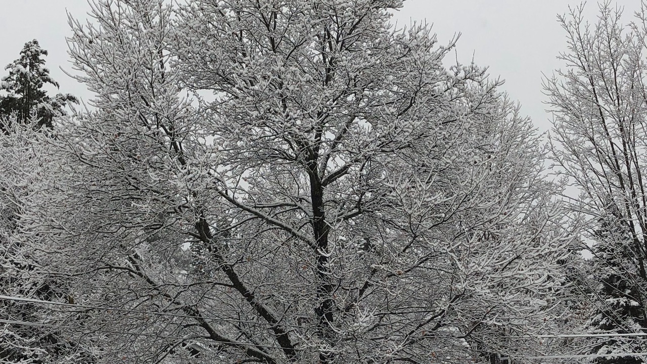 Photo of Outdoor in Windham