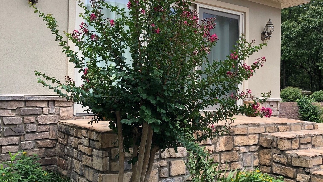 Photo of Outdoor in Ferndale