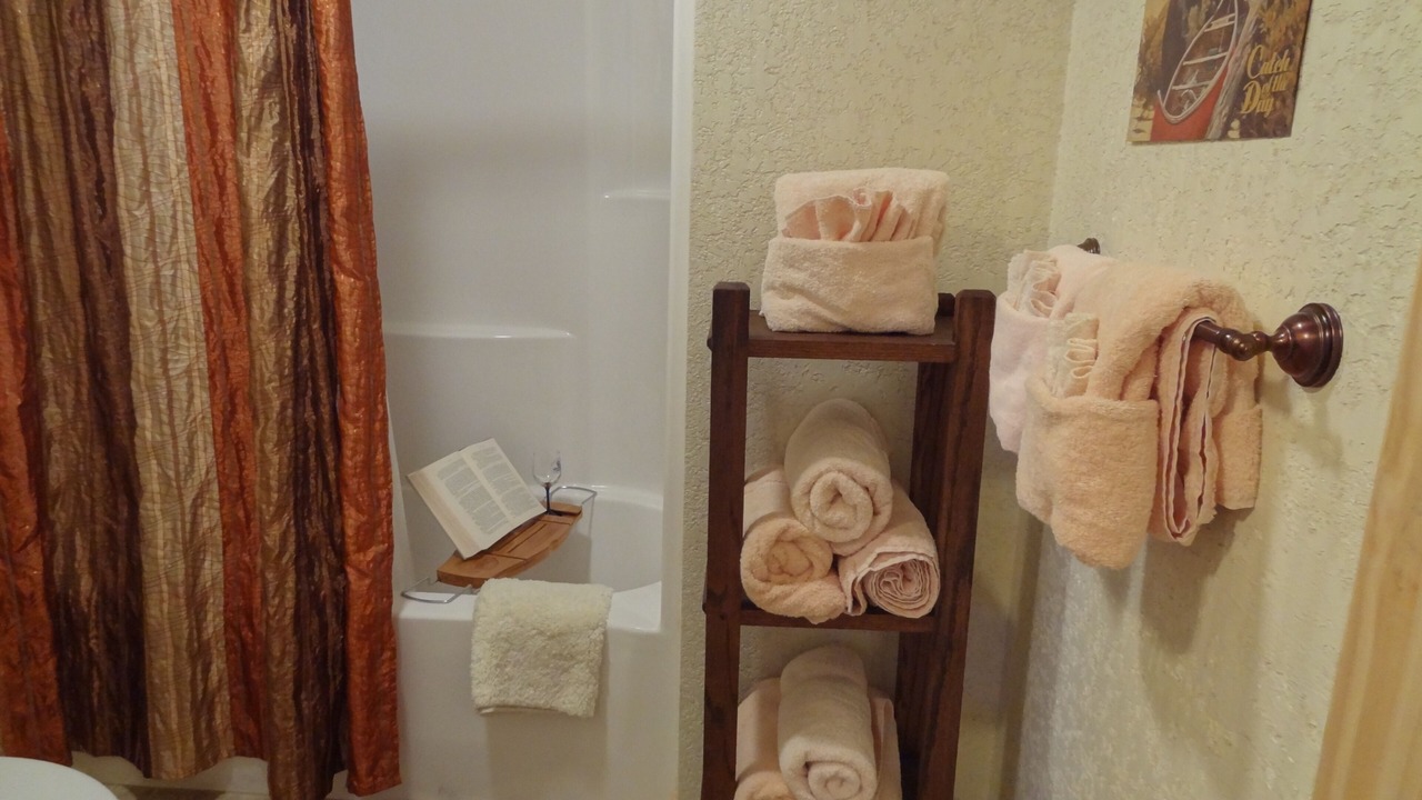 Photo of Bathroom in Mount Ida
