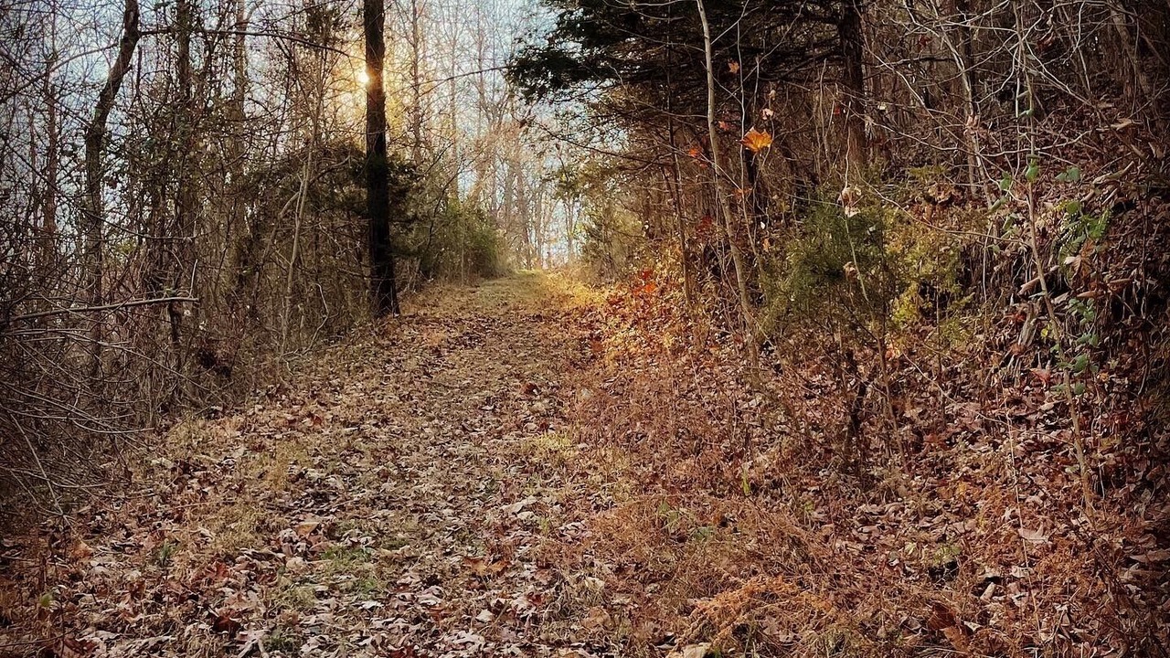 Photo of Outdoor in Saint Joe