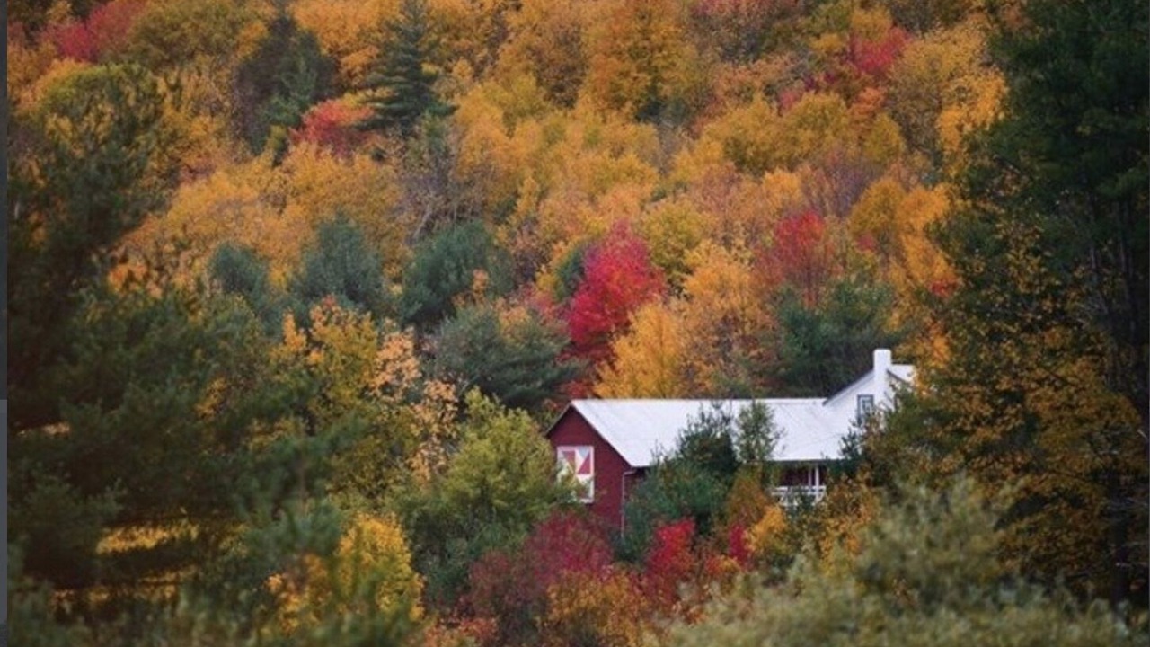 Photo of Outdoor in Claryville