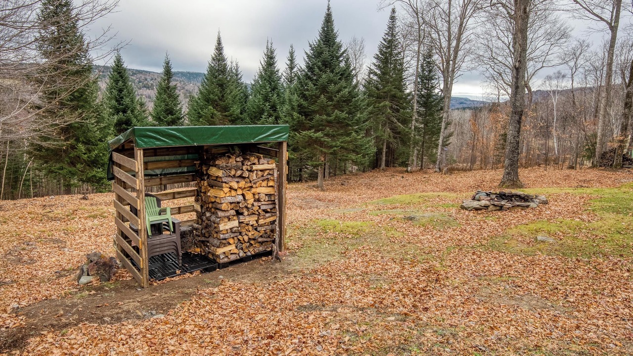 Photo of Others in Rangeley Plantation