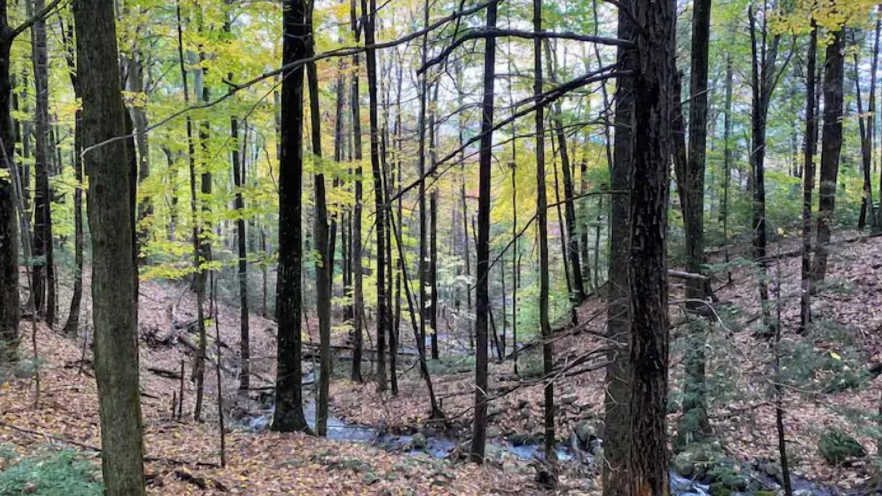 Photo of Outdoor in Kerhonkson