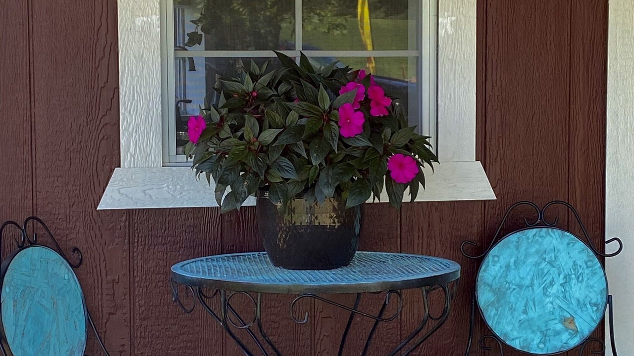 Photo of Outdoor in Mount Ida