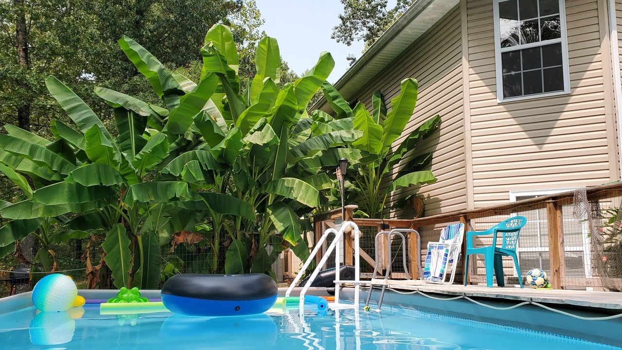 Photo of Outdoor in Bella Vista