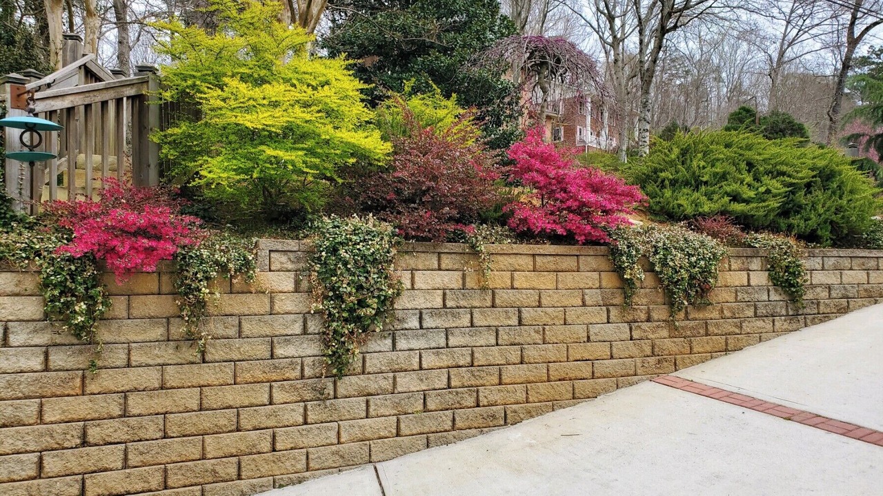 Photo of Outdoor in Atlanta