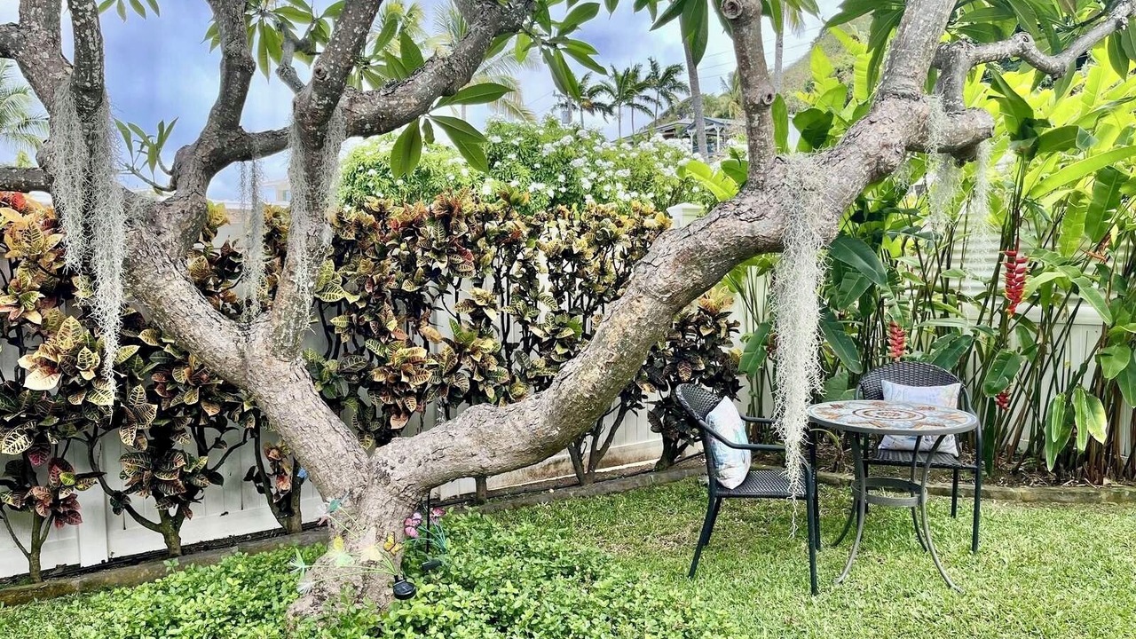 Photo of Outdoor in Lanikai