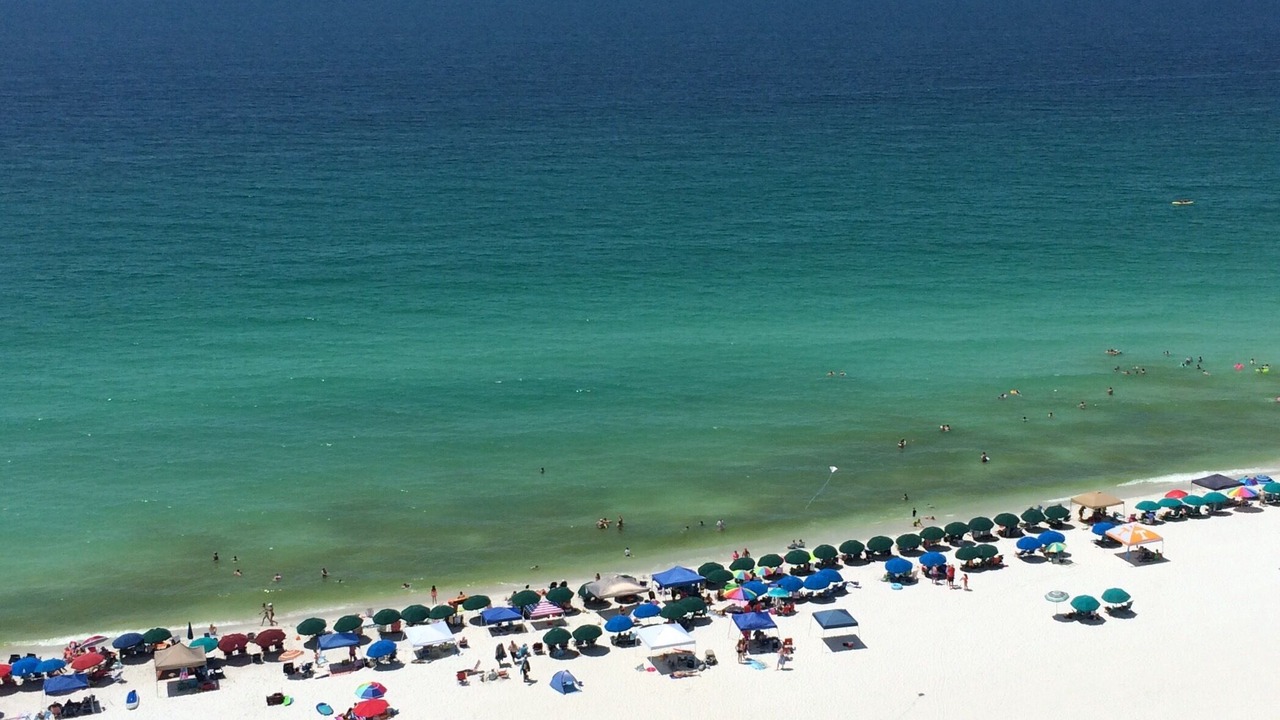 Photo of Others in Navarre Beach