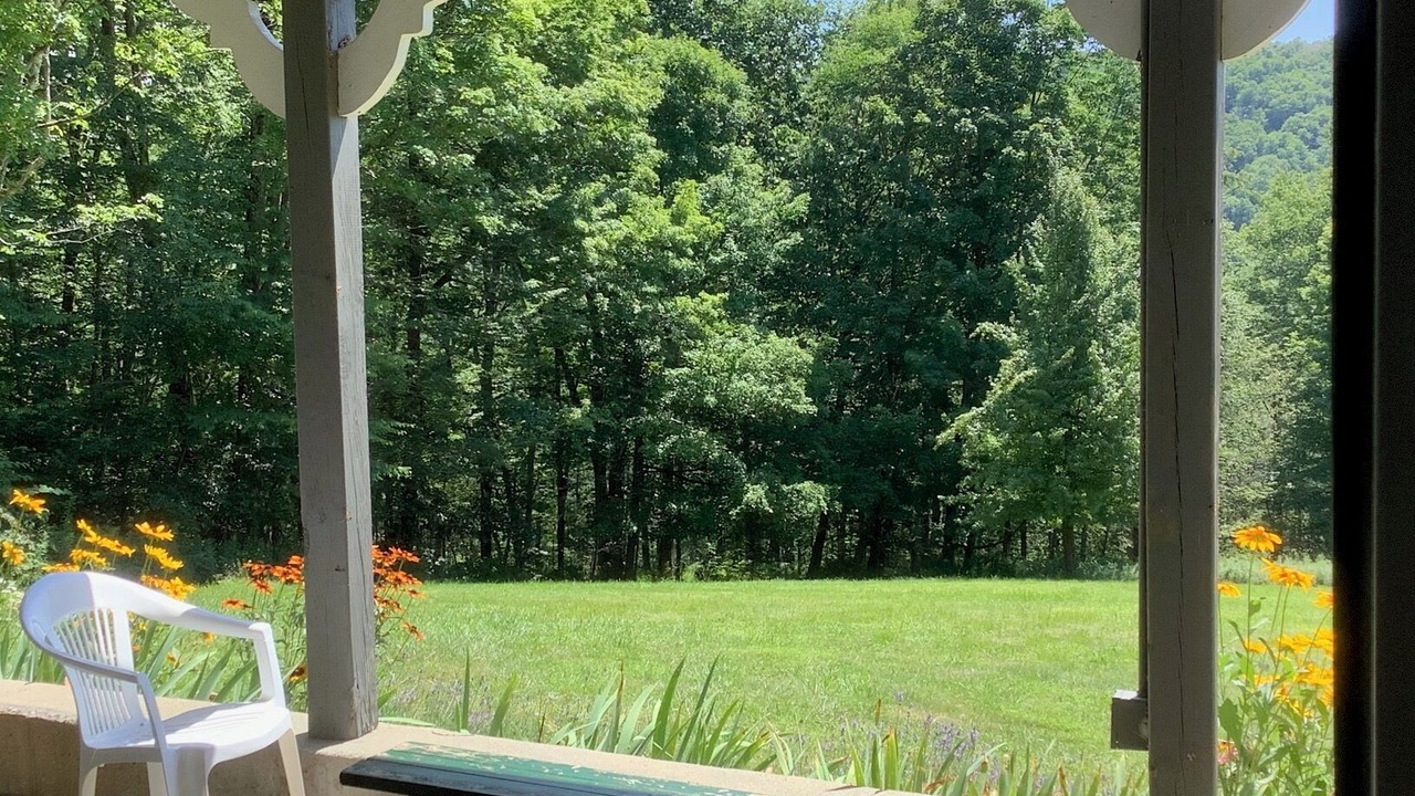 Photo of Patio Balcony in Roscoe
