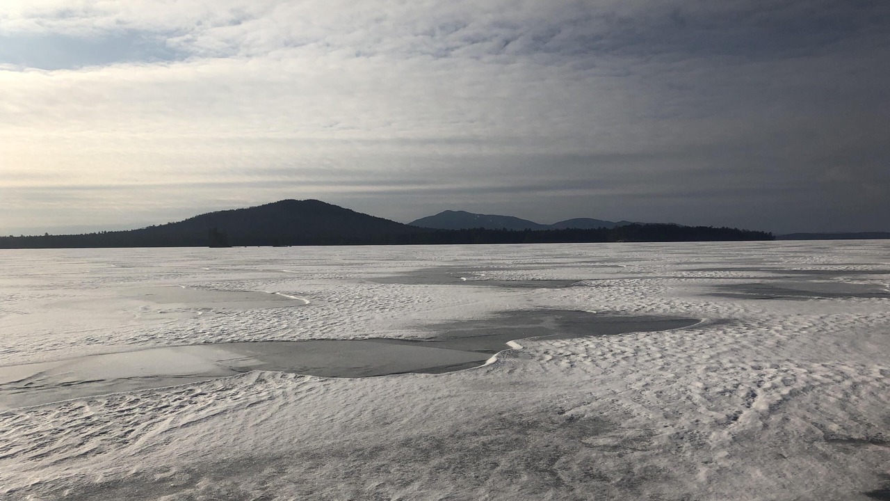 Photo of Others in Beaver Cove