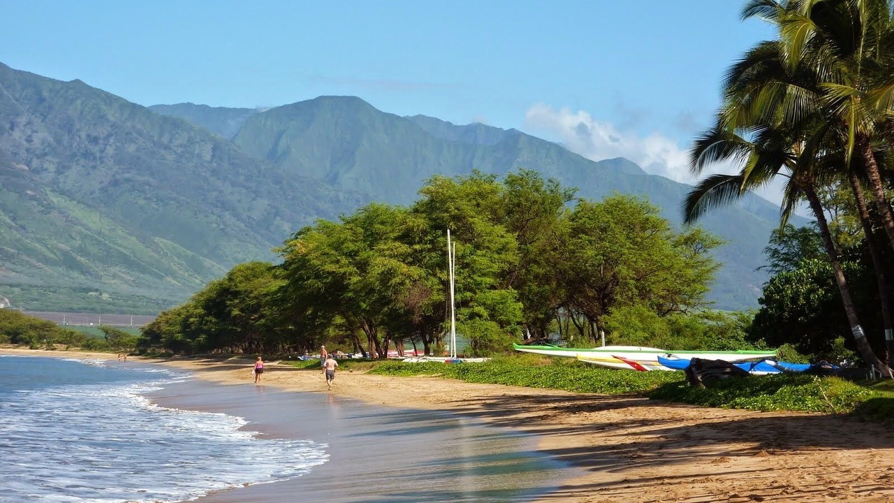 Photo of Others in Kihei