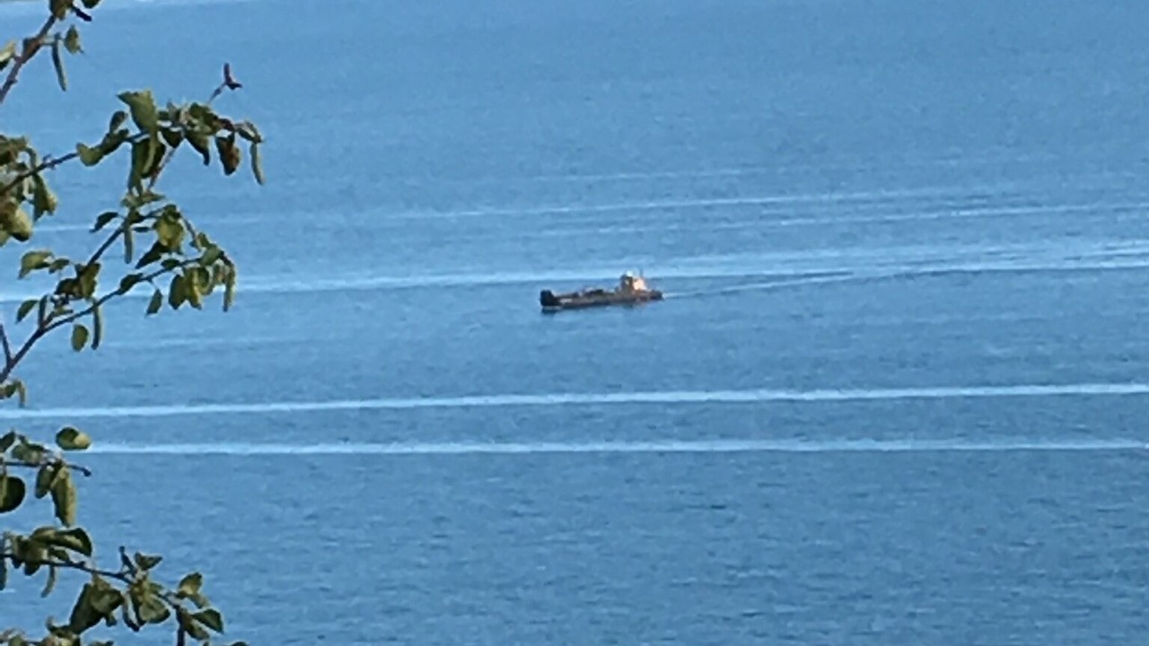 Photo of Others in Fritz Creek