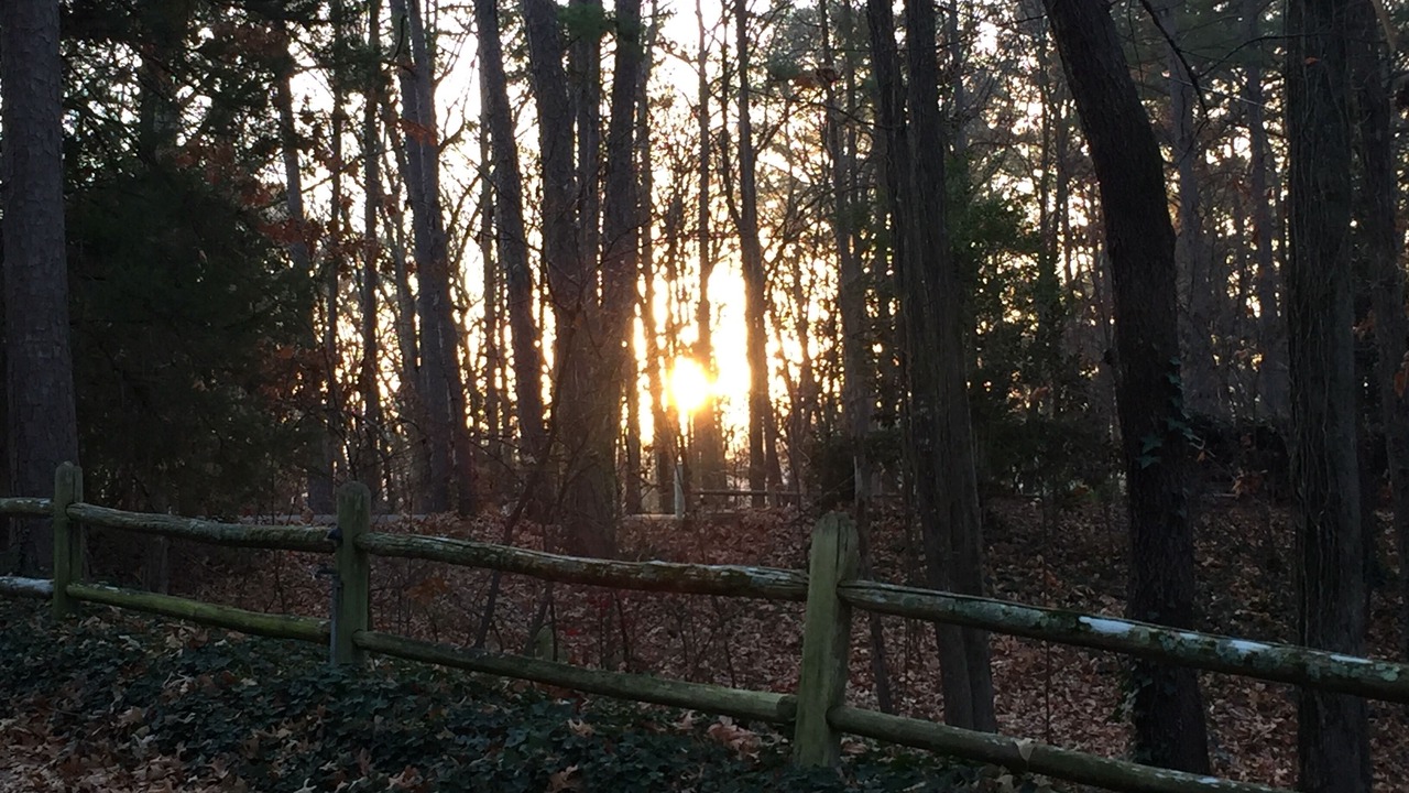 Photo of Outdoor in Mid America