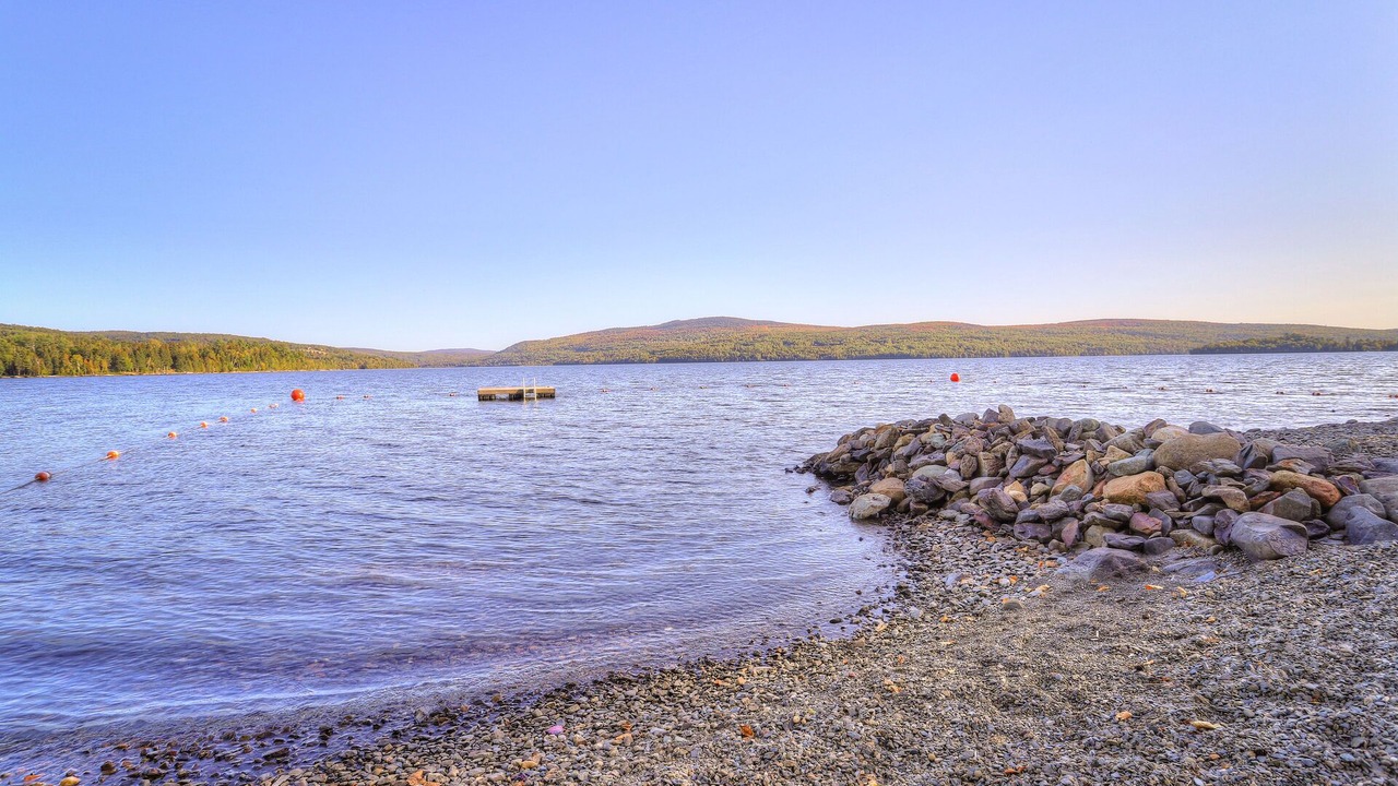 Photo of Others in Rangeley
