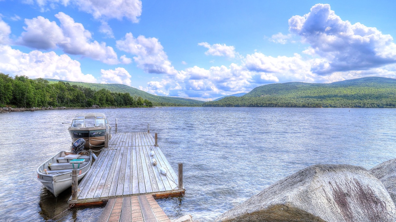 Photo of Others in Rangeley Plantation