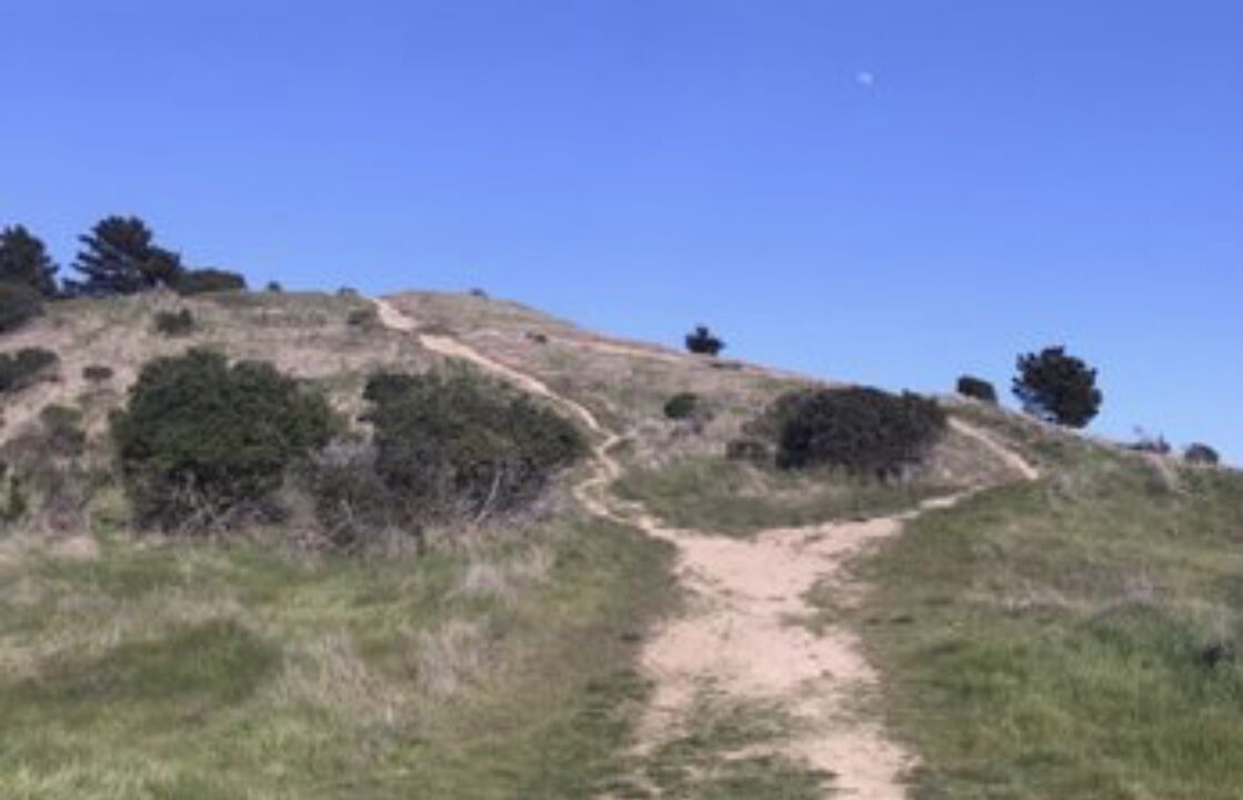 Photo of Others in Point Richmond