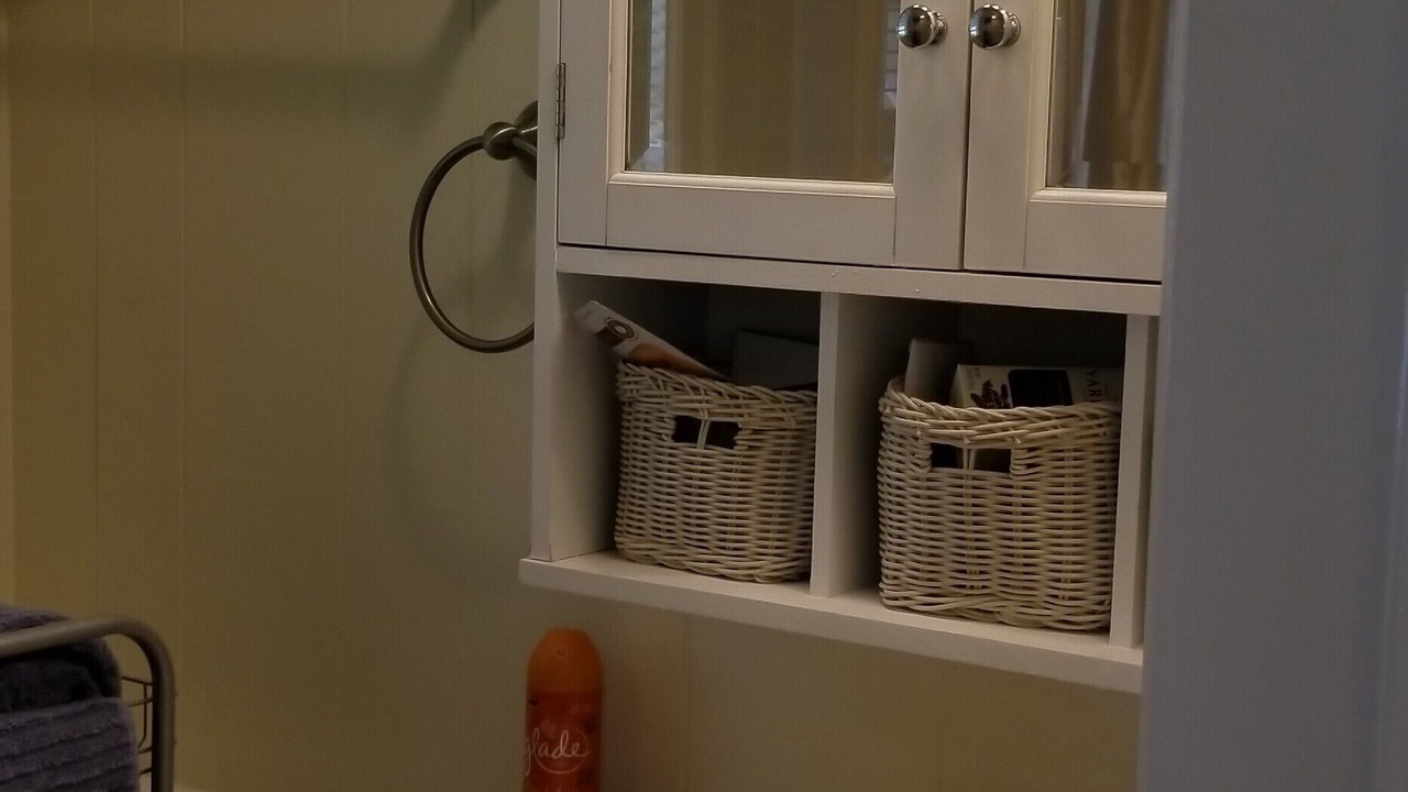 Photo of Bathroom in Palmyra