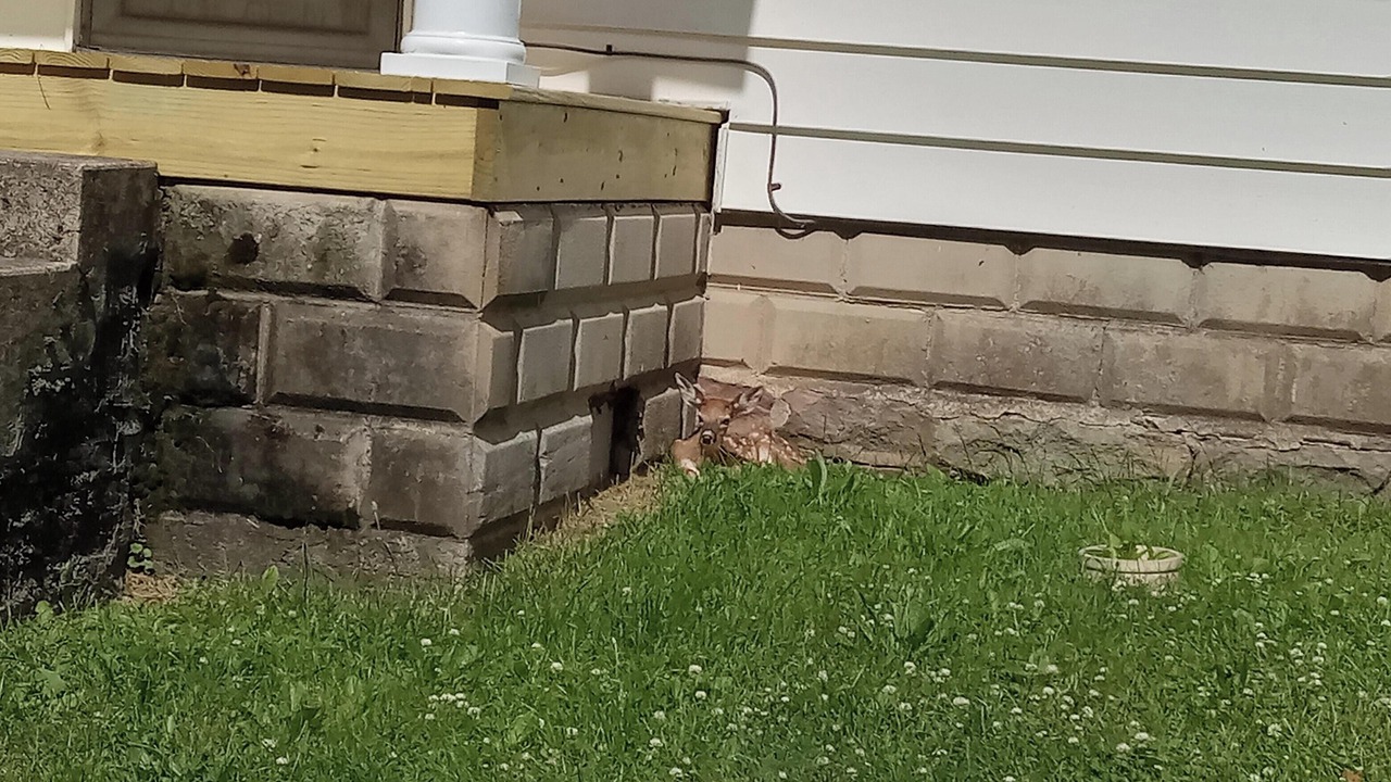 Photo of Outdoor in Elysburg