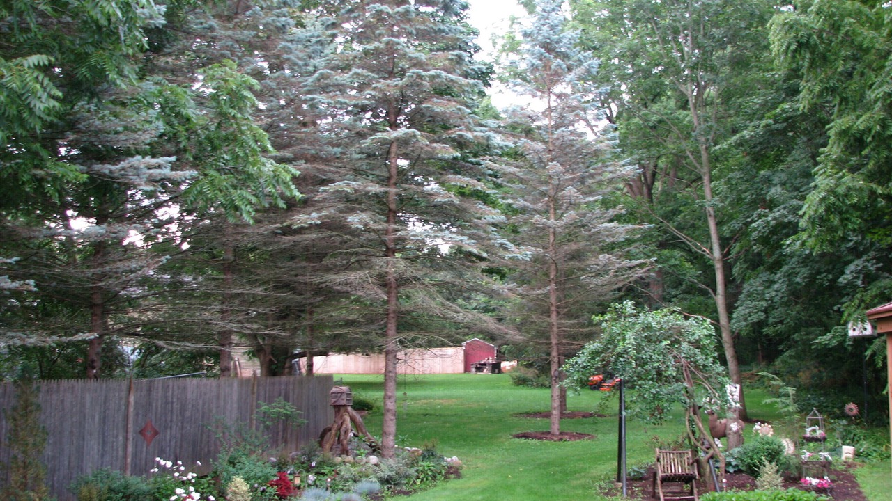 Photo of Others in Clinton