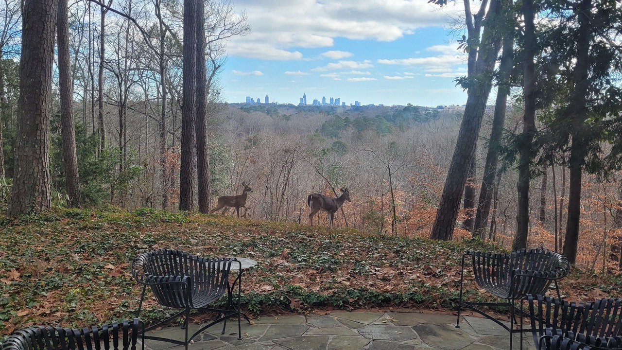Photo of Outdoor in Mount Paran - Northside