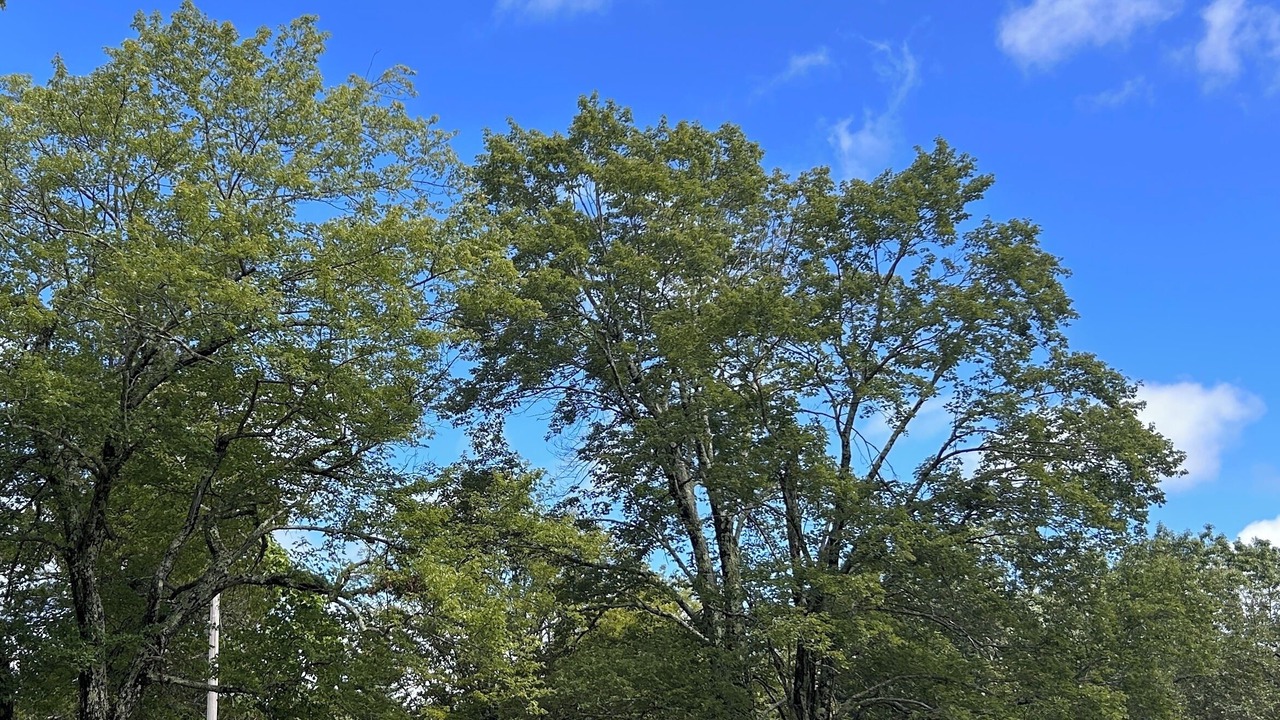 Photo of Outdoor in Wurtsboro