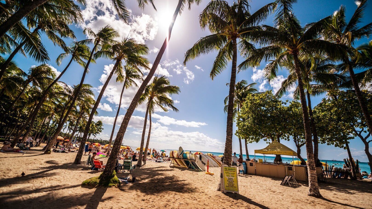 Photo of Others in Waikiki