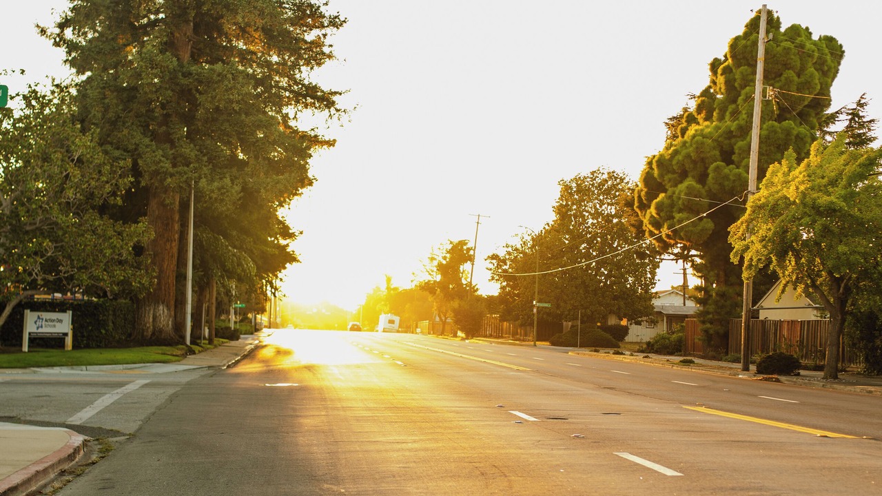 Photo of Others in San Jose