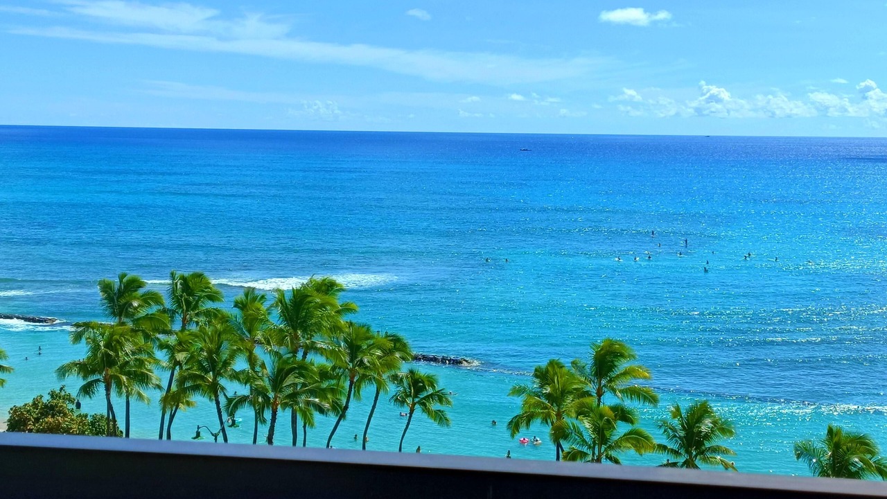 Photo of Others in Waikiki