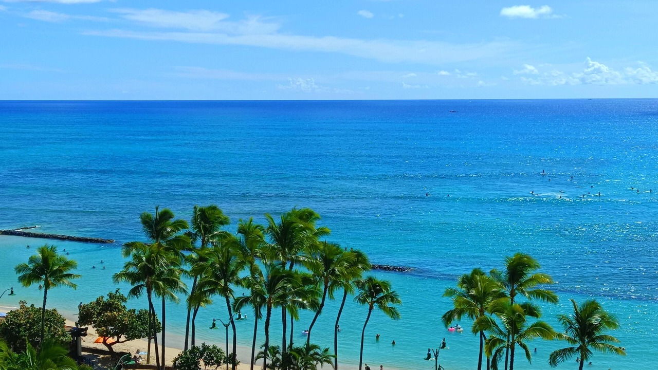 Photo of Others in Waikiki