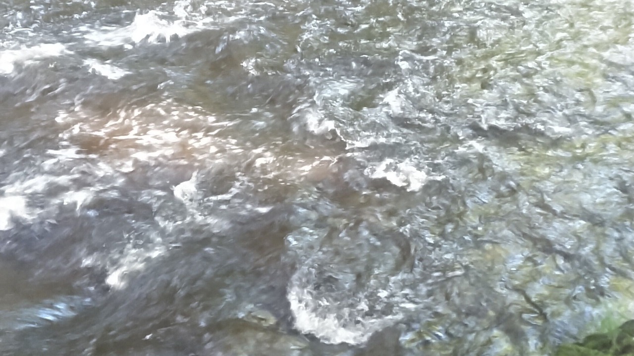 Photo of Others in Harris