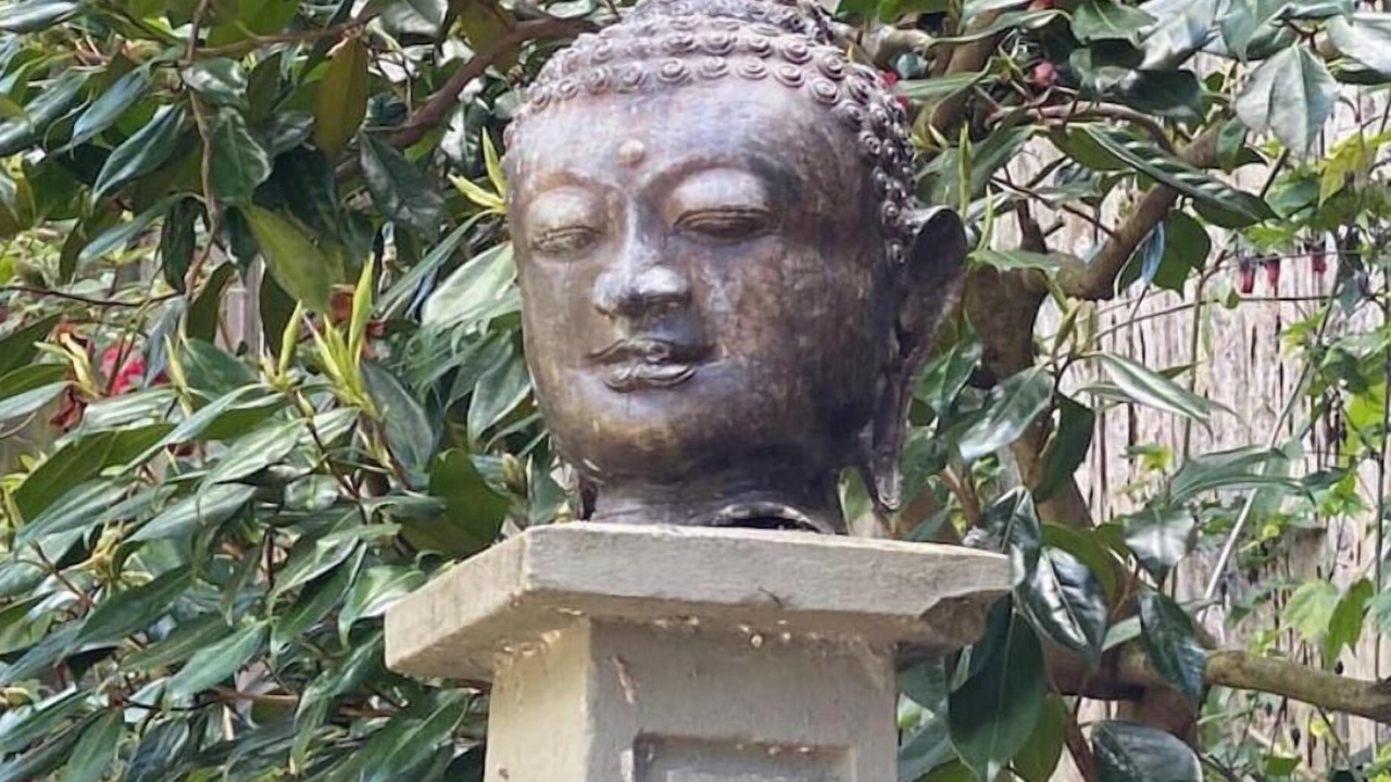 Photo of Others in Merriewood