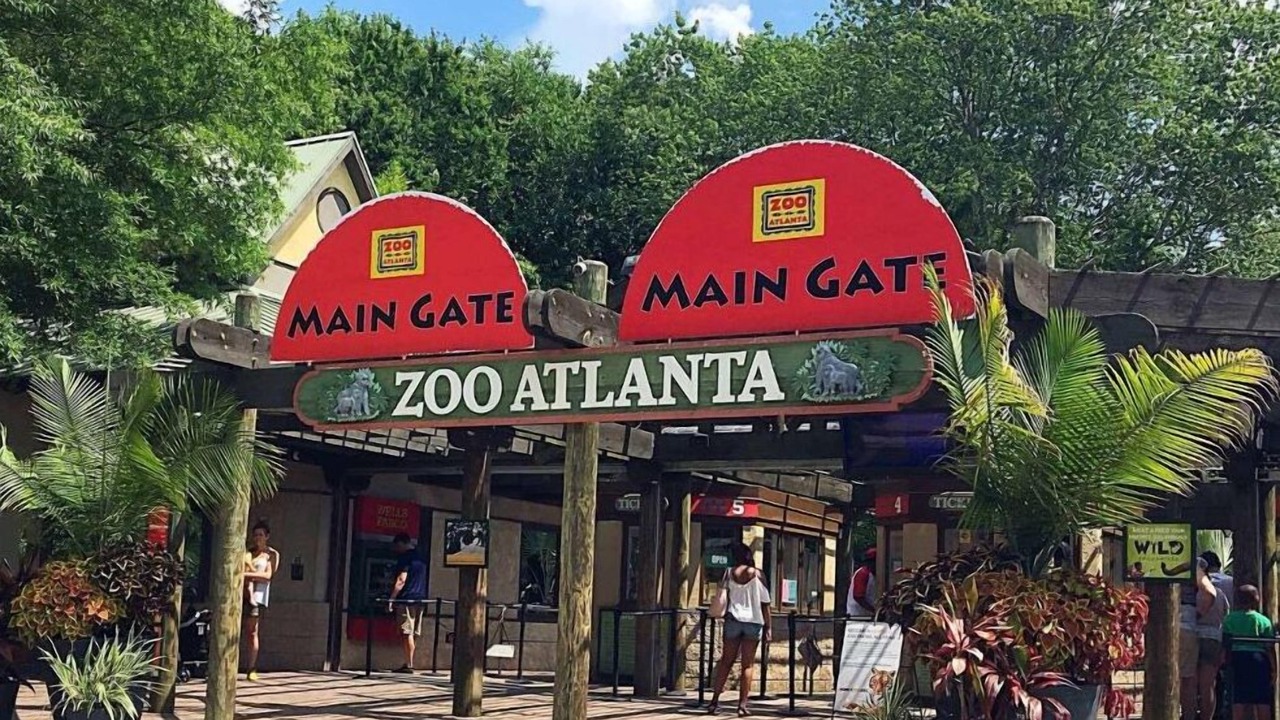 Photo of Others in Atlanta