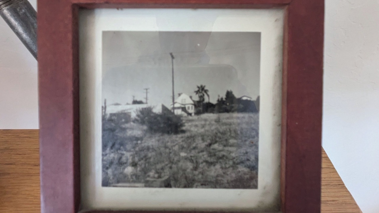 Photo of Others in Point Richmond