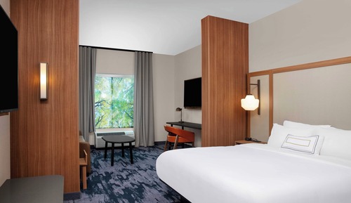 Studio Suite, 1 King Bed with Sofa bed
