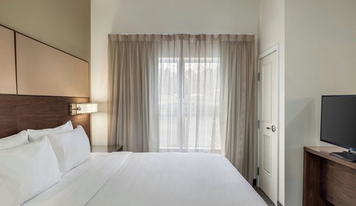 Studio Suite, 1 King Bed with Sofa bed