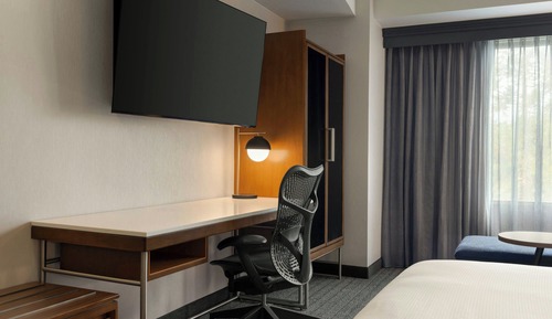 Room, 1 King Bed with Sofa bed