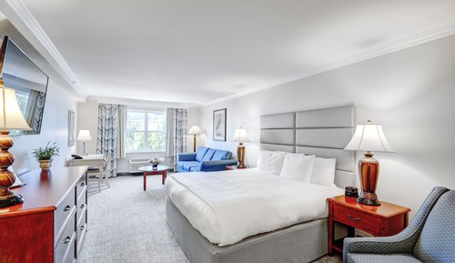 Deluxe Room, 1 King Bed, Lake Ave. (with Shower)