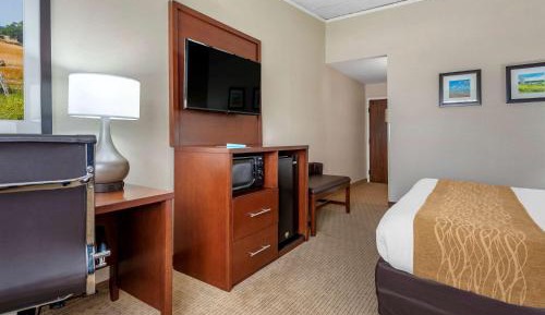 Double Room with Two Double Beds - Non-Smoking